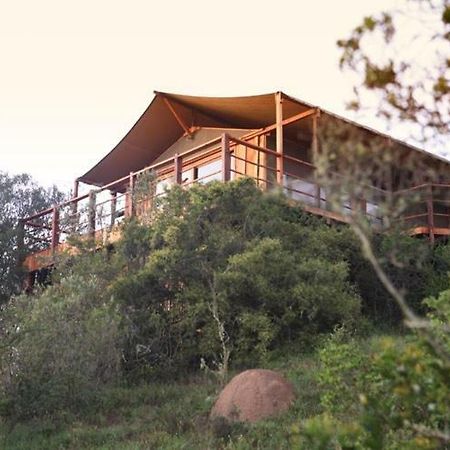 Addo Elephant Lodge & Safaris Kirkwood Kültér fotó