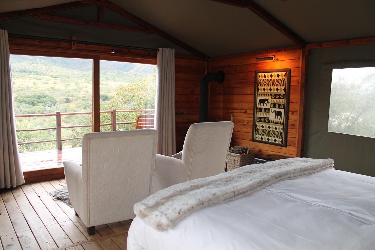 Addo Elephant Lodge & Safaris Kirkwood Kültér fotó