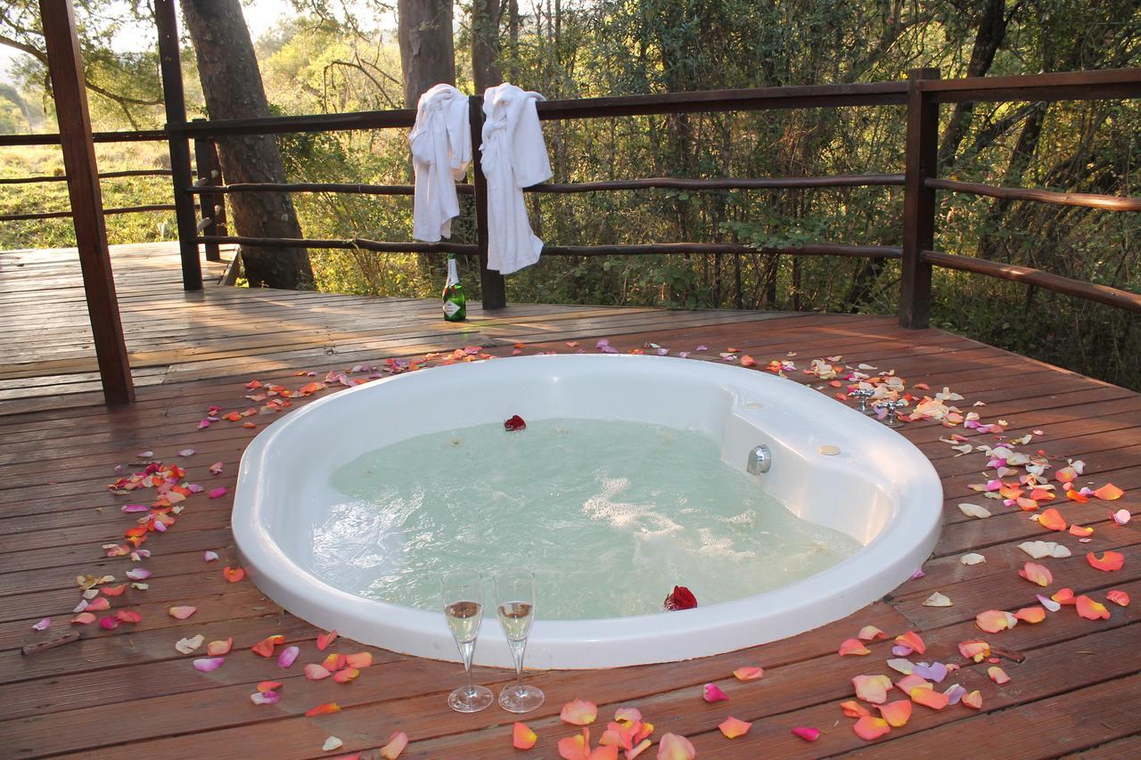Addo Elephant Lodge & Safaris Kirkwood Kültér fotó