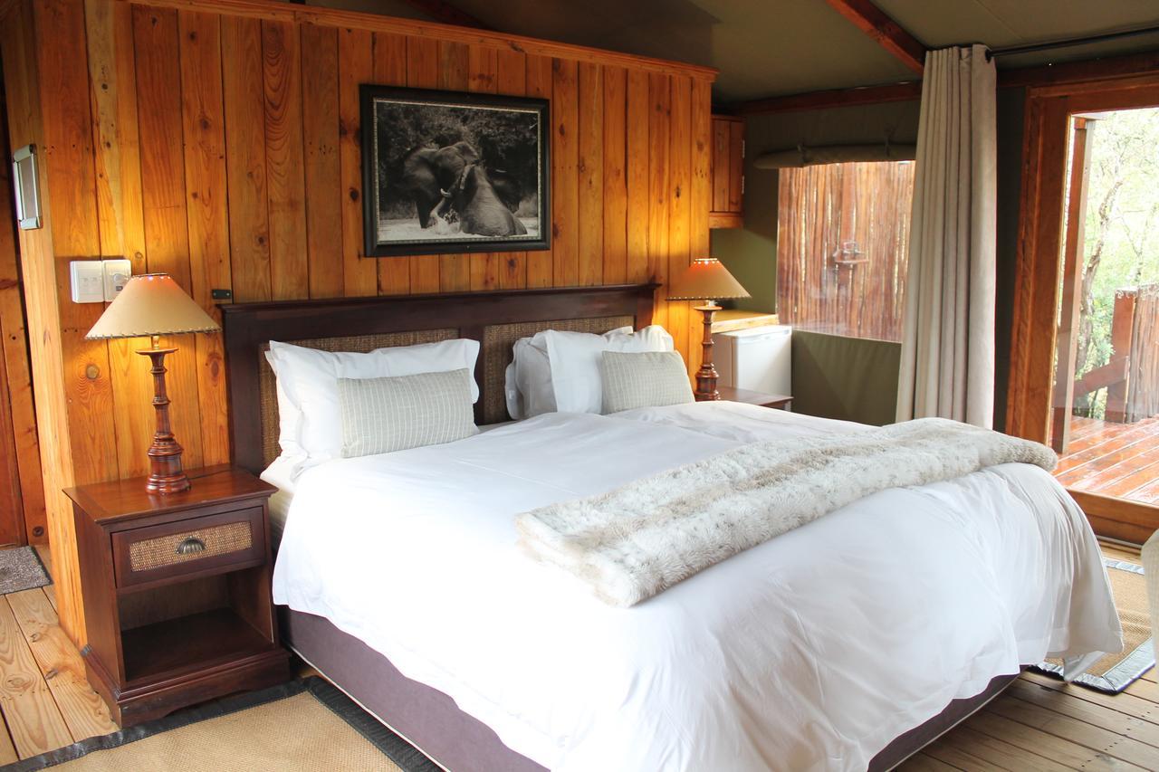 Addo Elephant Lodge & Safaris Kirkwood Kültér fotó