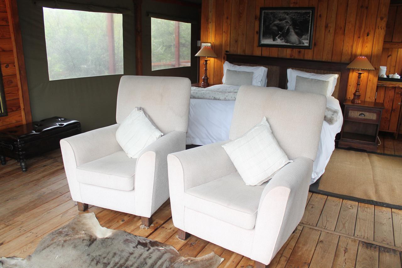 Addo Elephant Lodge & Safaris Kirkwood Kültér fotó