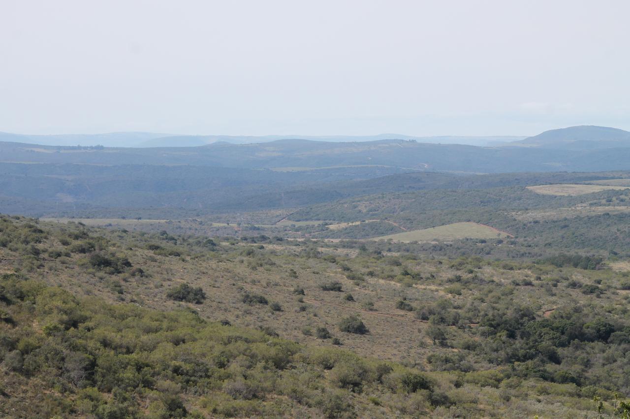 Addo Elephant Lodge & Safaris Kirkwood Kültér fotó