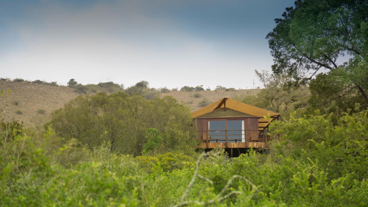 Addo Elephant Lodge & Safaris Kirkwood Kültér fotó