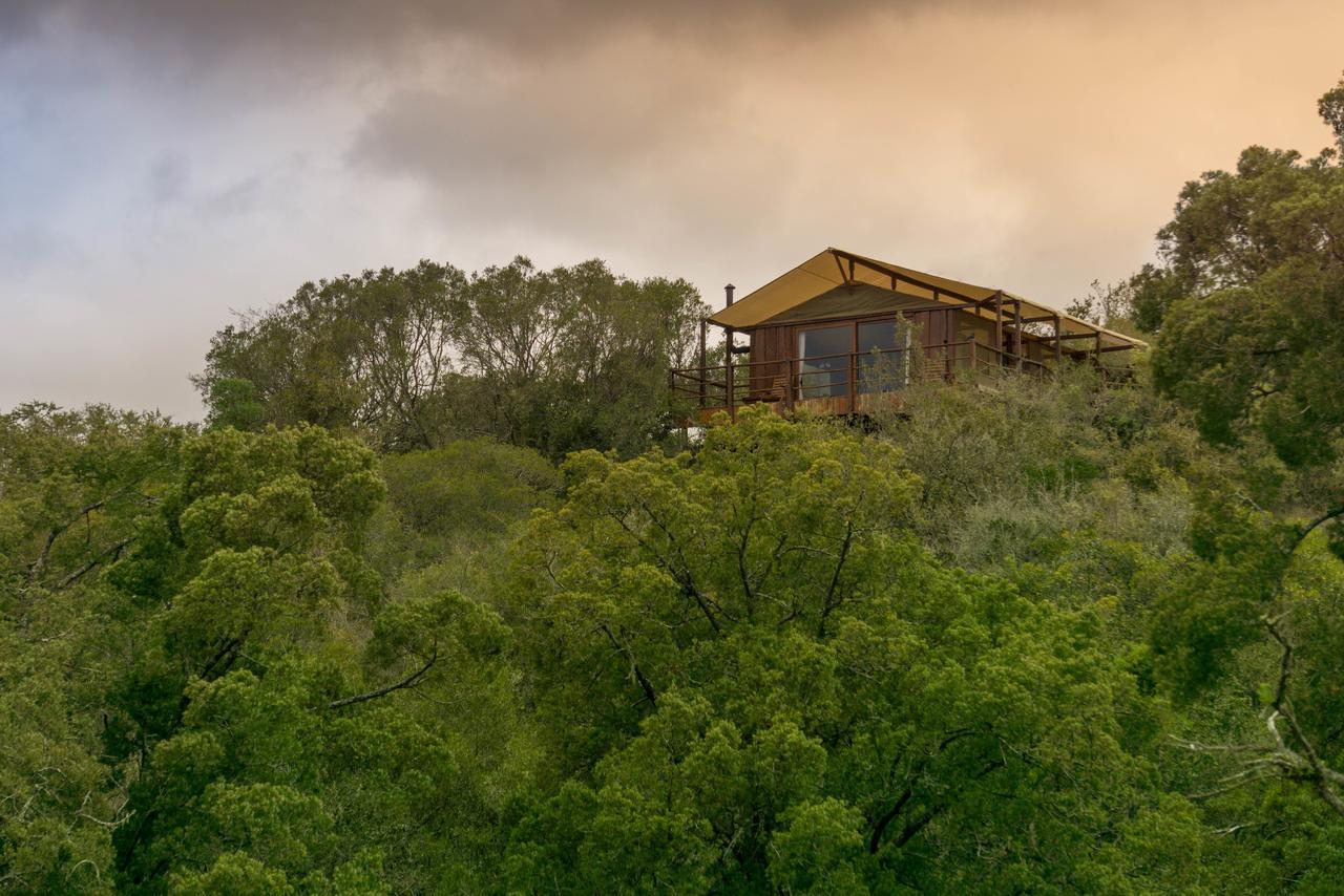 Addo Elephant Lodge & Safaris Kirkwood Kültér fotó