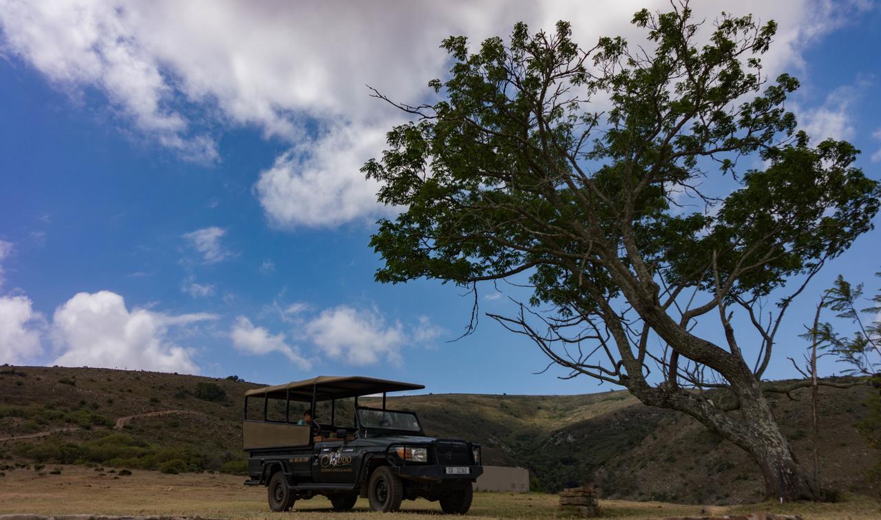 Addo Elephant Lodge & Safaris Kirkwood Kültér fotó