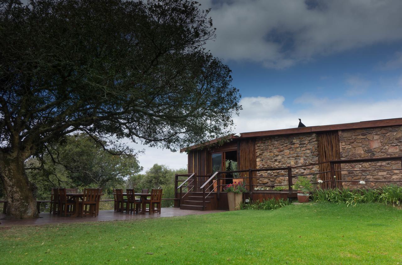 Addo Elephant Lodge & Safaris Kirkwood Kültér fotó