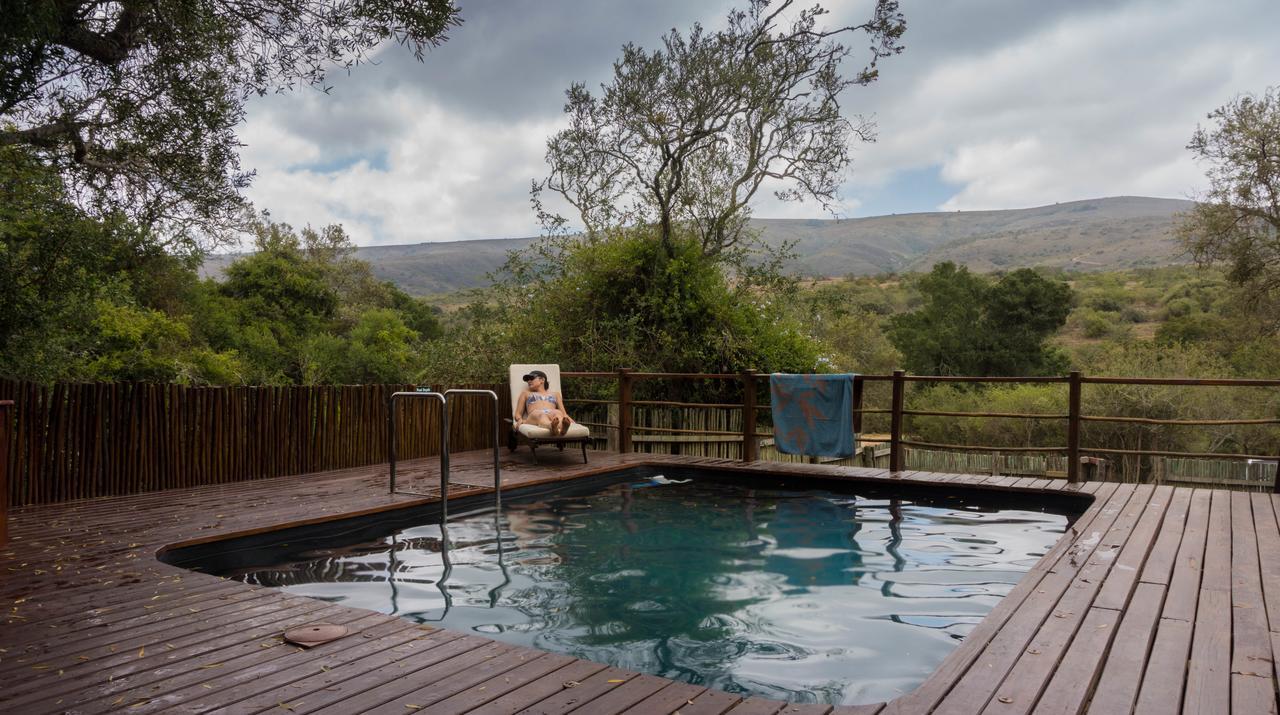 Addo Elephant Lodge & Safaris Kirkwood Kültér fotó