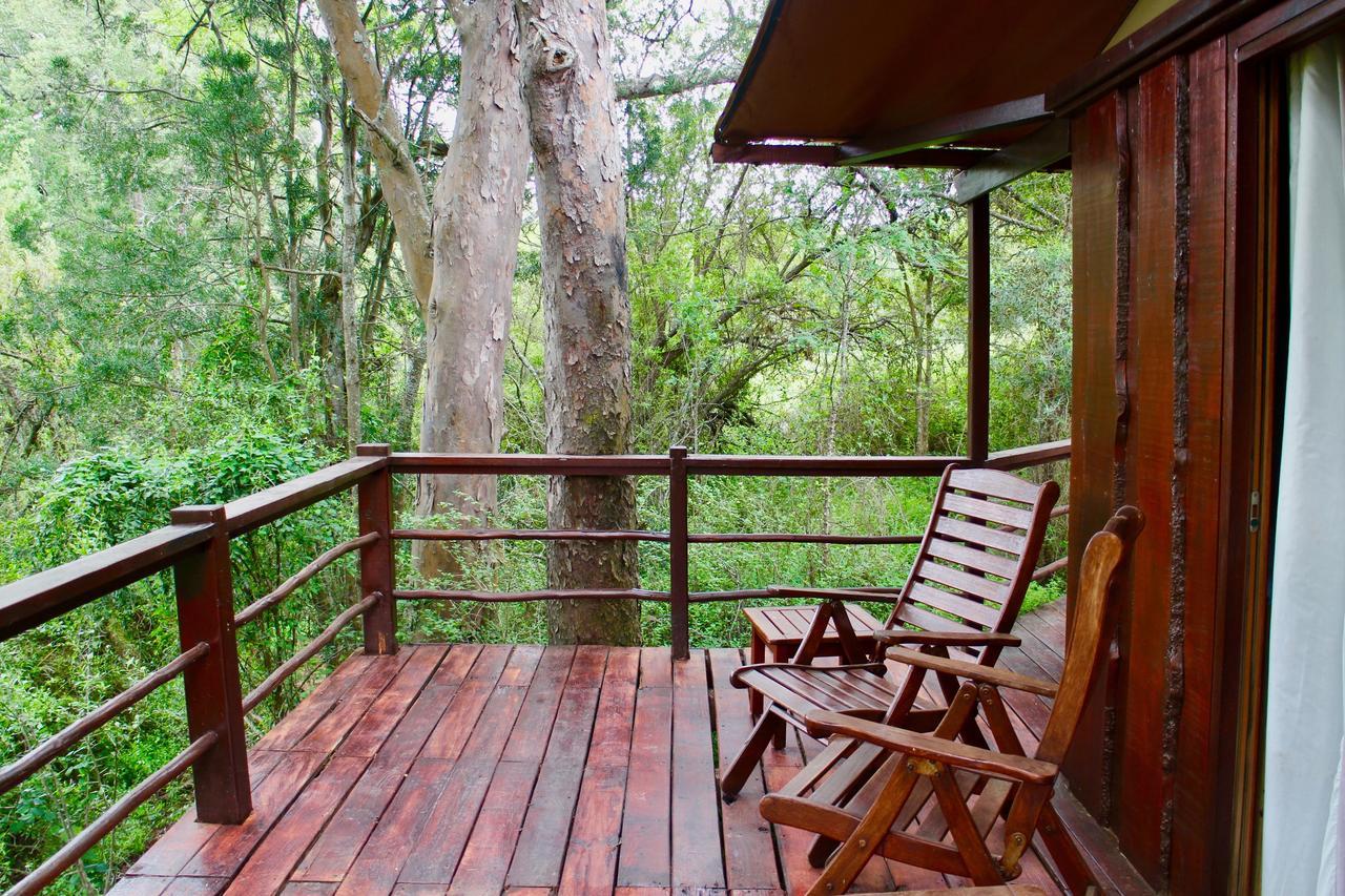 Addo Elephant Lodge & Safaris Kirkwood Kültér fotó