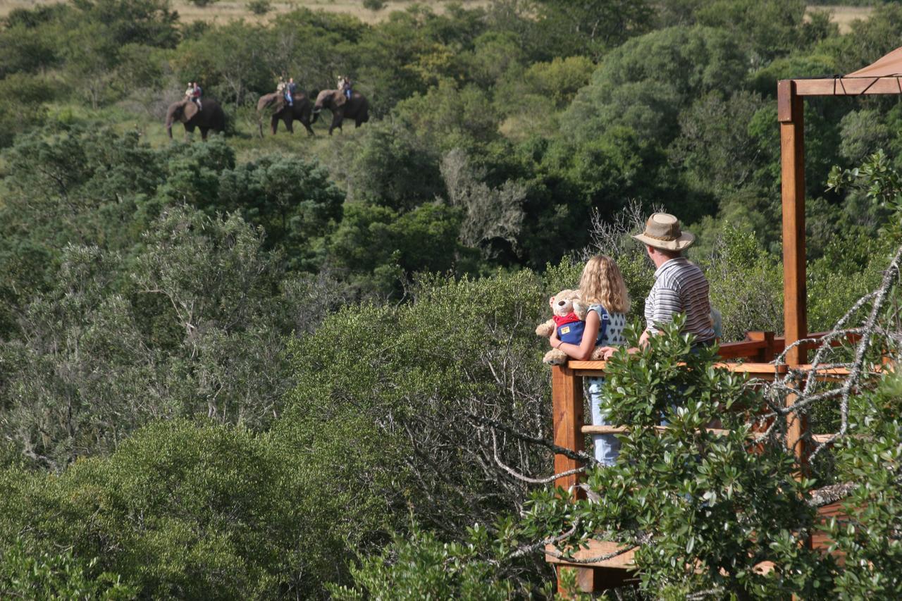 Addo Elephant Lodge & Safaris Kirkwood Kültér fotó