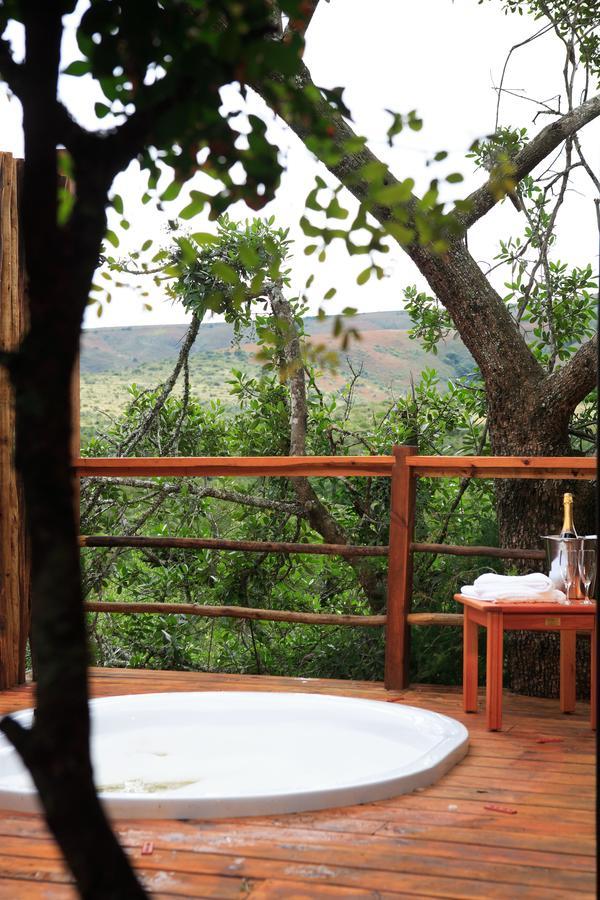 Addo Elephant Lodge & Safaris Kirkwood Kültér fotó